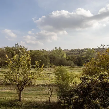 El Rebastral - Mas Vinyoles Natura Apartment Sant Pere de Torello